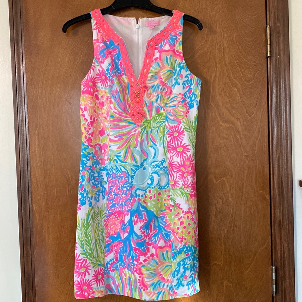 Gently worn Lily Dress!